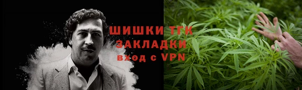 PSILOCYBIN Надым