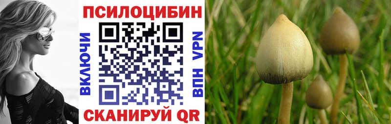 как найти закладки  Благодарный  Галлюциногенные грибы GOLDEN TEACHER 