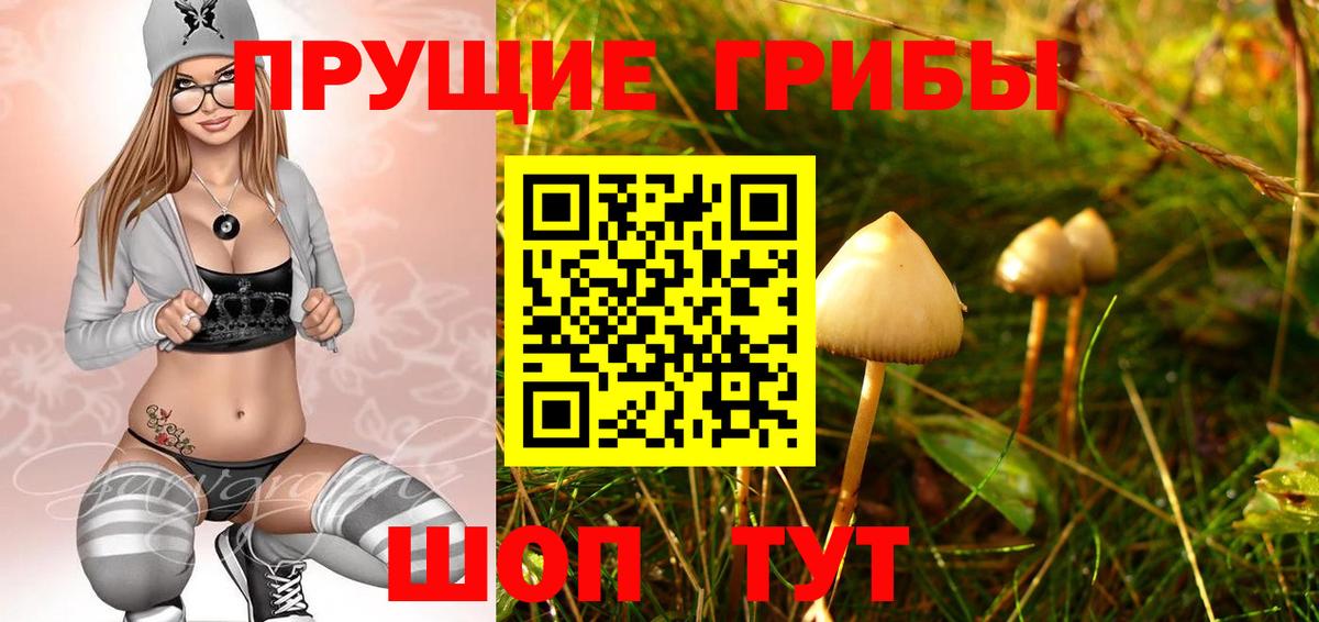 Галлюциногенные грибы GOLDEN TEACHER Благодарный